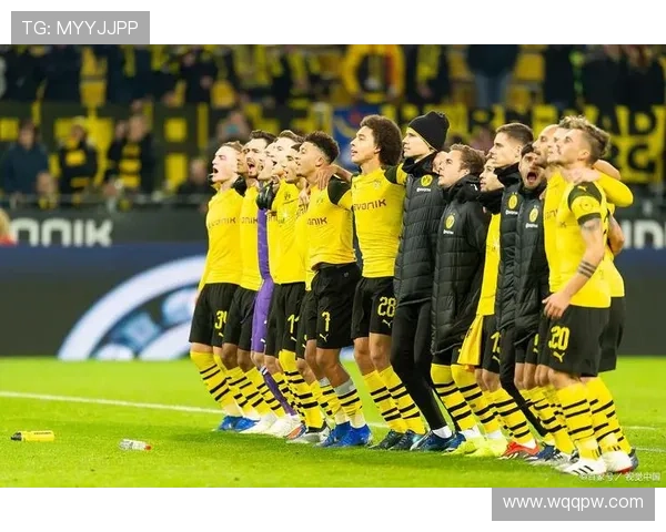 [德甲]第19轮：多特蒙德VS不来梅.